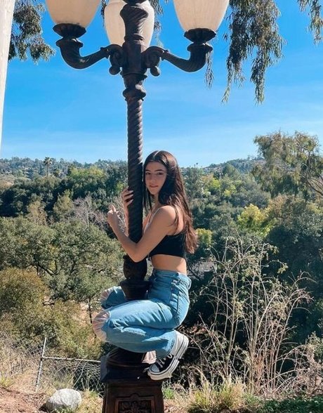 Charli D Amelio onlyfans nudes