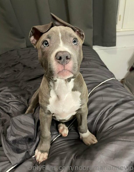 murukissa onlyfans nude