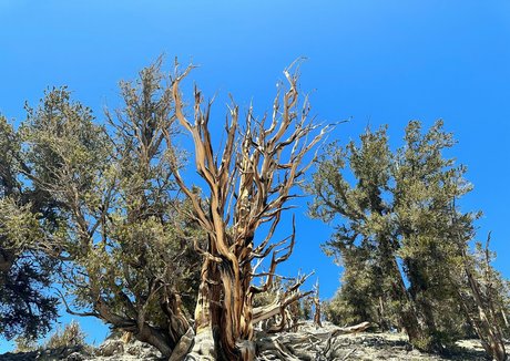 havefaithinmebabe only fans nude leaks