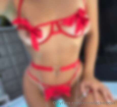 CristianacBarbosa Profile image