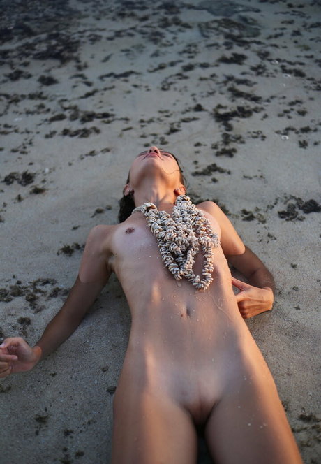 grilled avocadoz onlyfans leaks