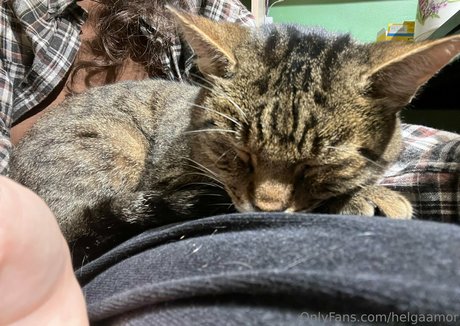 helgaamor onlyfans leaks naked