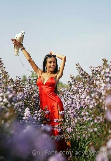 ladyboyxmos onlyfans naked leak