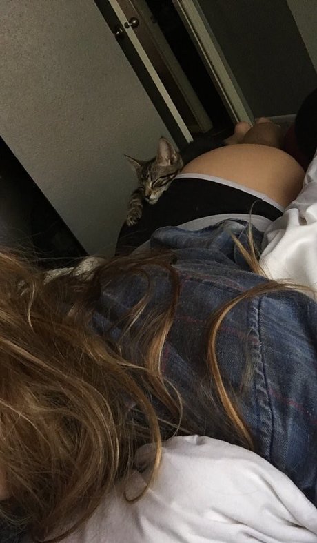 Novaleesi onlyfans leaked.