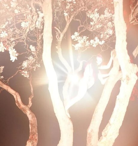 Zheani Sparkes onlyfans free content