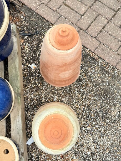 Evelynwhite onlyfans leaked nude