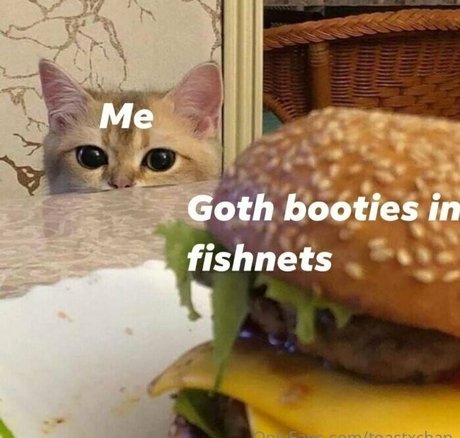 toastxchan onlyfans archives