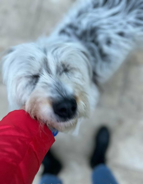 yasmineamory onlyfans leaked nude