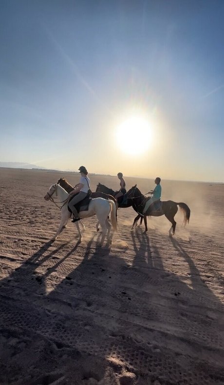 kitty xxx onlyfans pornographic archive