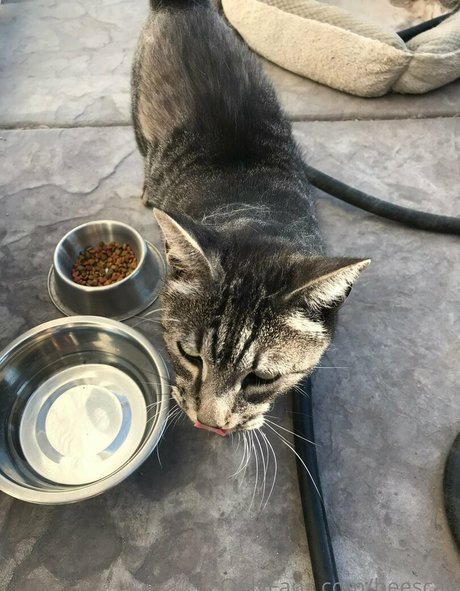 scabbee topless onlyfans