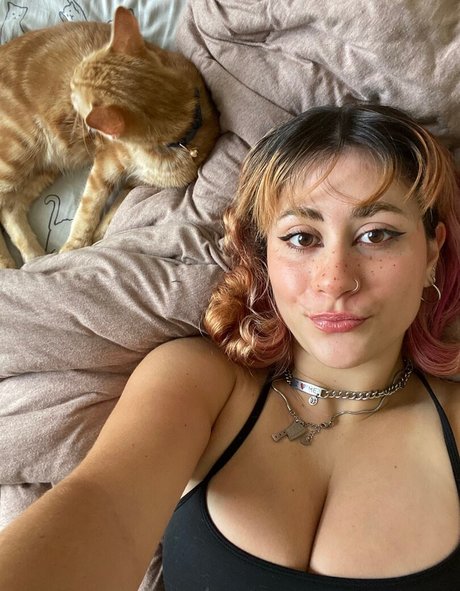 Oatmilkmommy onlyfans explicit content