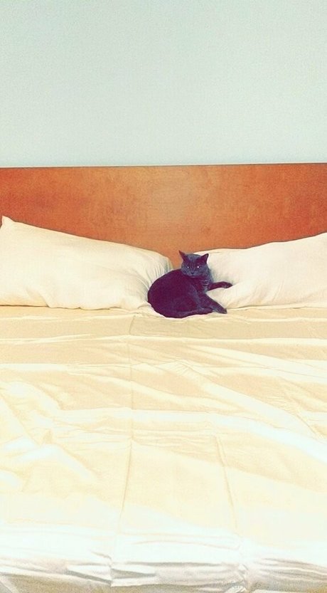 old young lesbian onlyfans beautiful xxx visuals