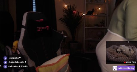 ASMR Darling leaked onlyfans