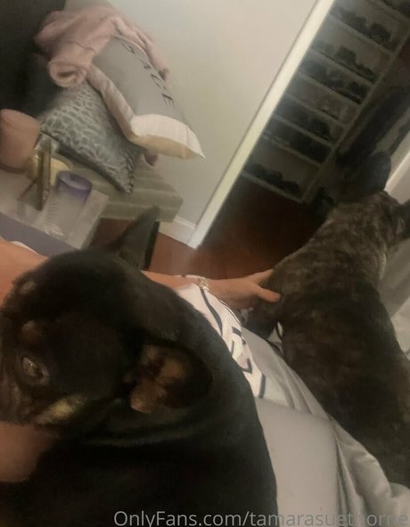 blonde trans onlyfans porno exposure