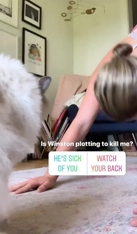 Alex Gervasi onlyfans content