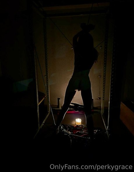 perkygrace onlyfans leaks nude
