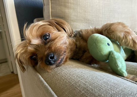 wife onlyfans porn slide