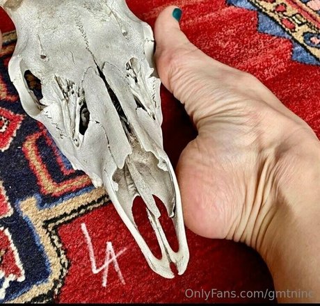 gmtninc onlyfans leajs