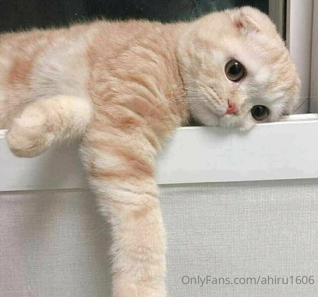 ahiru1606 nsfw onlyfans