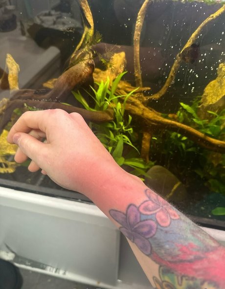 rosegalahfree onlyfans leaked