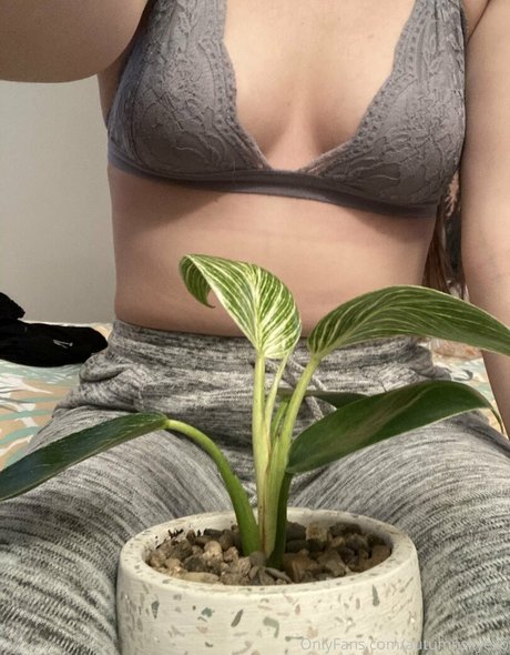 autumnskyexo onlyfans strip tease