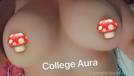 collegeaura onlyfans boobs