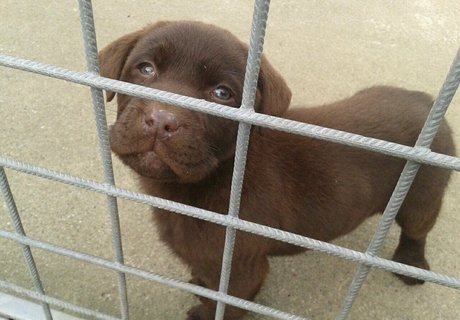 siswet19 only fans photos