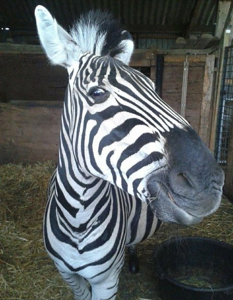 hottest redhead onlyfans sexy candids