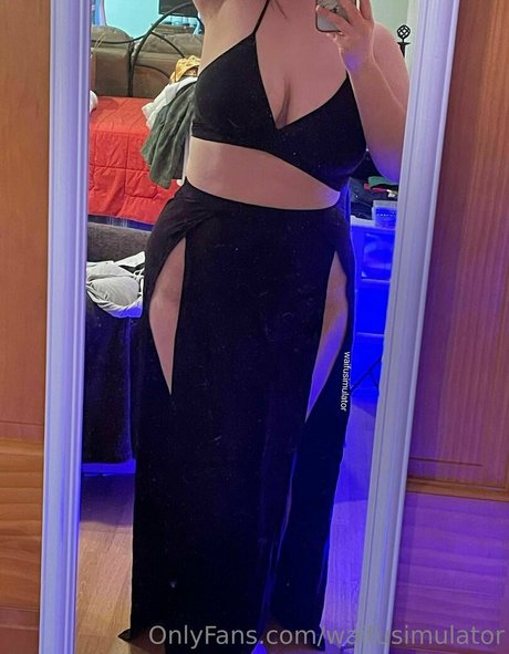 waifusimulator Profile image