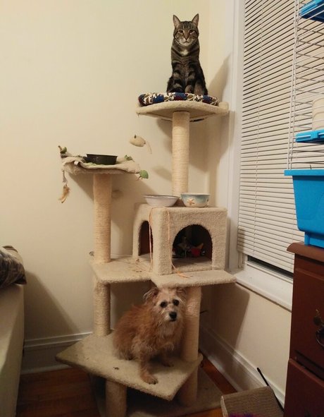 chloe loves attention only fans