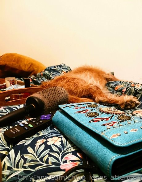 chloe loves attention onlyfans keak