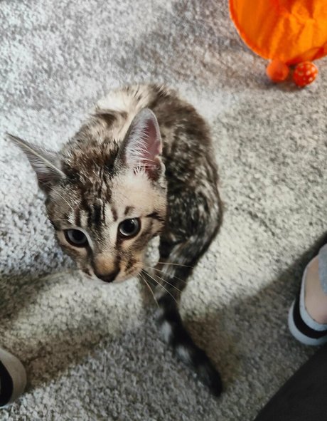 athletic onlyfans perfect photo