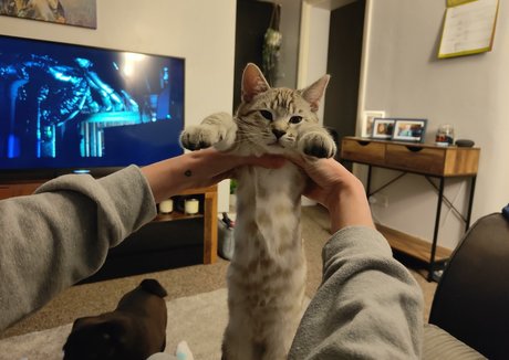 army onlyfans pornos shot