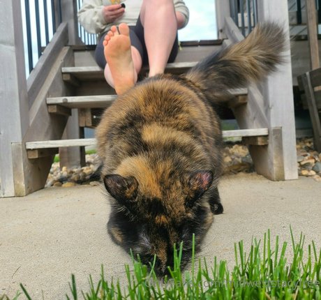 midweststacyfree naked onlyfans leaked