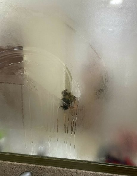 Hannaasmithhh_  glimpse