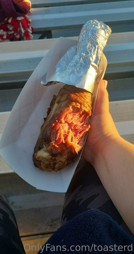 toasterd only fans nude