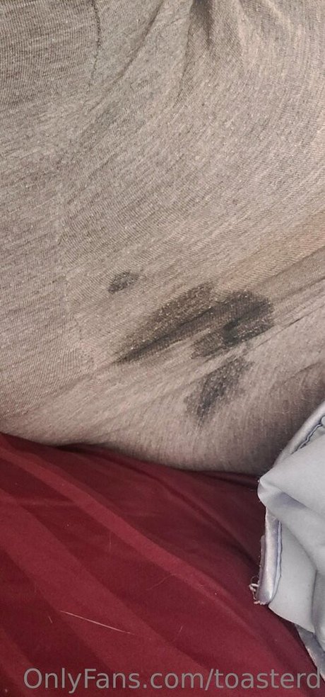 toasterd onlyfans leaks sex