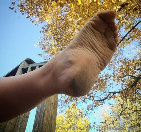 goddessaubrislav  snapshot