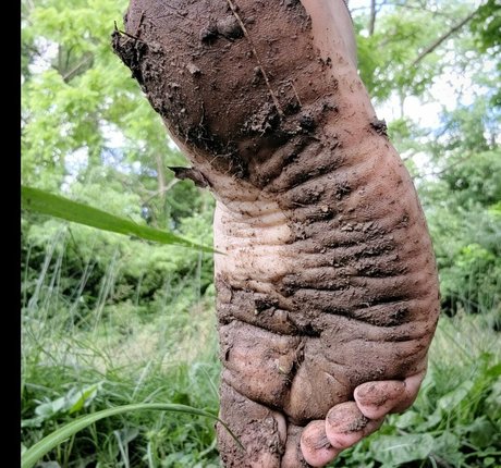 goddessaubrislav onlyfans