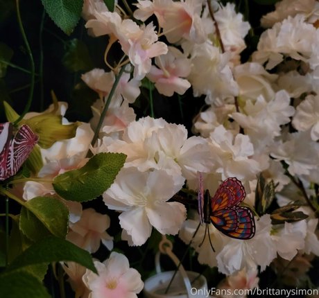 brittanysimon only fans leaked