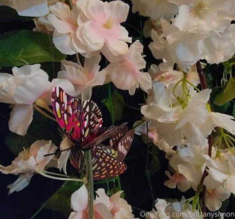 brittanysimon onlyfans nudes