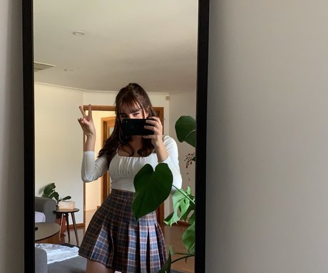 Paladinamber leaks only fans