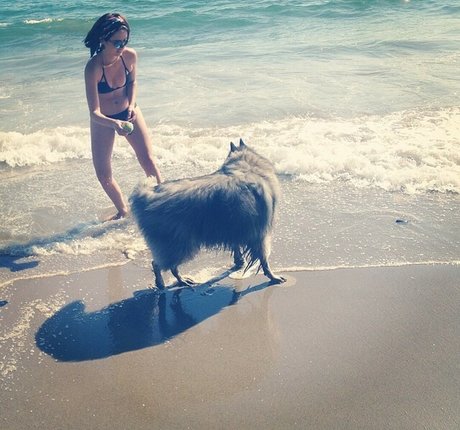 Ana De Armas onlyfans leak ass