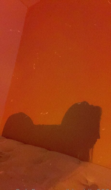 bbaddie003 onlyfans leaked photos