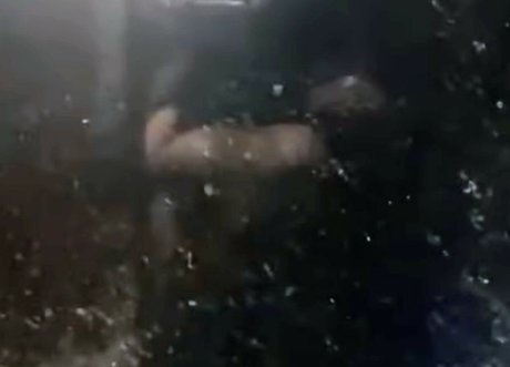 Bella Menezes onlyfans leak naked