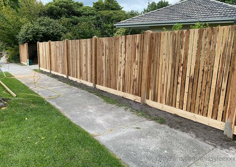 dvpgirlnextdoorxxx onlyfans porn leaks