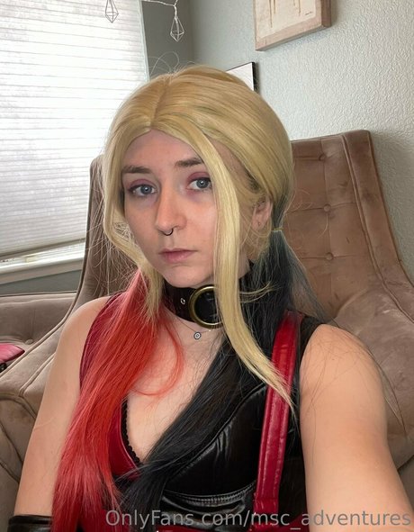 msc adventures Profile image