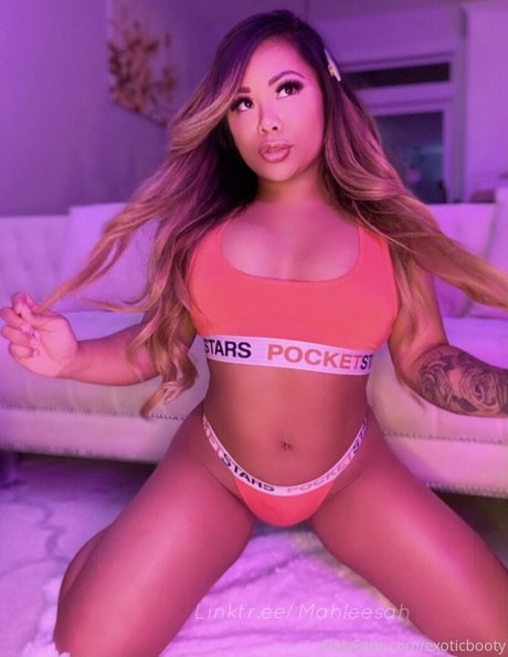 exoticbooty  artwork