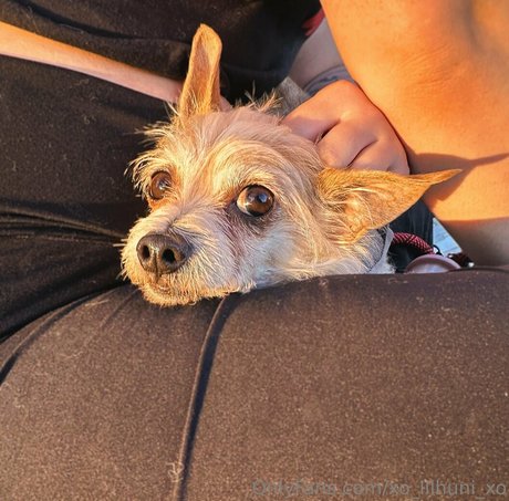 x cherrybxmb x onlyfans nude