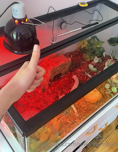 x cherrybxmb x onlyfans leams